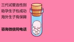 分享上海做试管婴儿短方案的步骤给