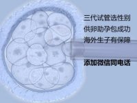 上海第三代试管婴儿生双胞胎可以吗？